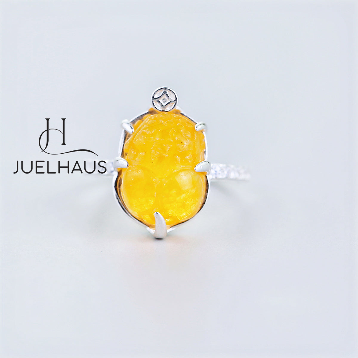 JUELHAUS Silver Pixiu Ring with Colorful Feng Shui Stone Holding Money with 2-Side Stone Border Ring